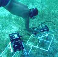Diver tending submerged instruments