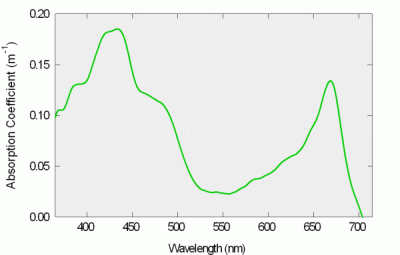 Leaf extract spectrum
